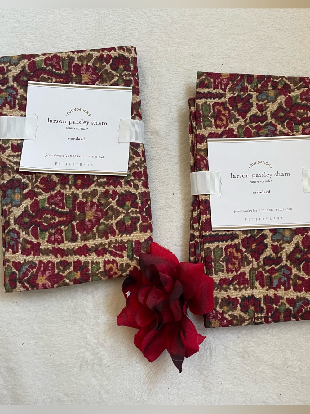 NWT Discontinued Pottery Barn Larson Paisley Shams